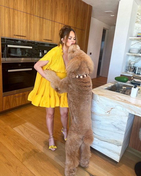 Chrissy Teigen and dog petey